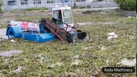 油圧ホテイアオイ/水生雑草/ウキクサ/リード ムーベラル ハーベスター